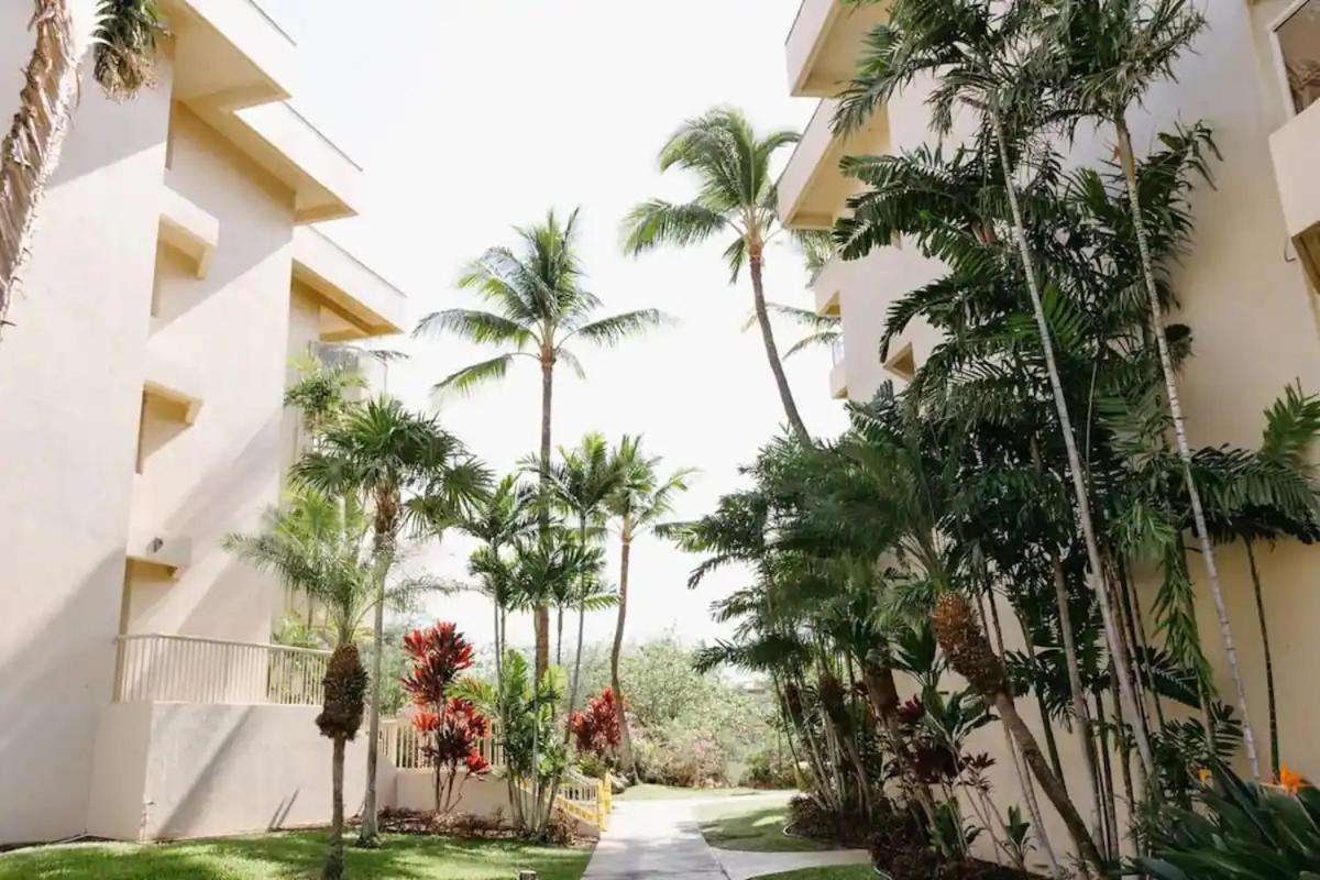 ויילי Central Kihei Gem! 3-Min Walk To The Beach & Shops מראה חיצוני תמונה
